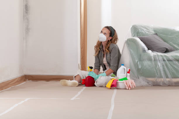 Reliable Mold Remediation contractor in Sterling, IL by WQB Mold Removal